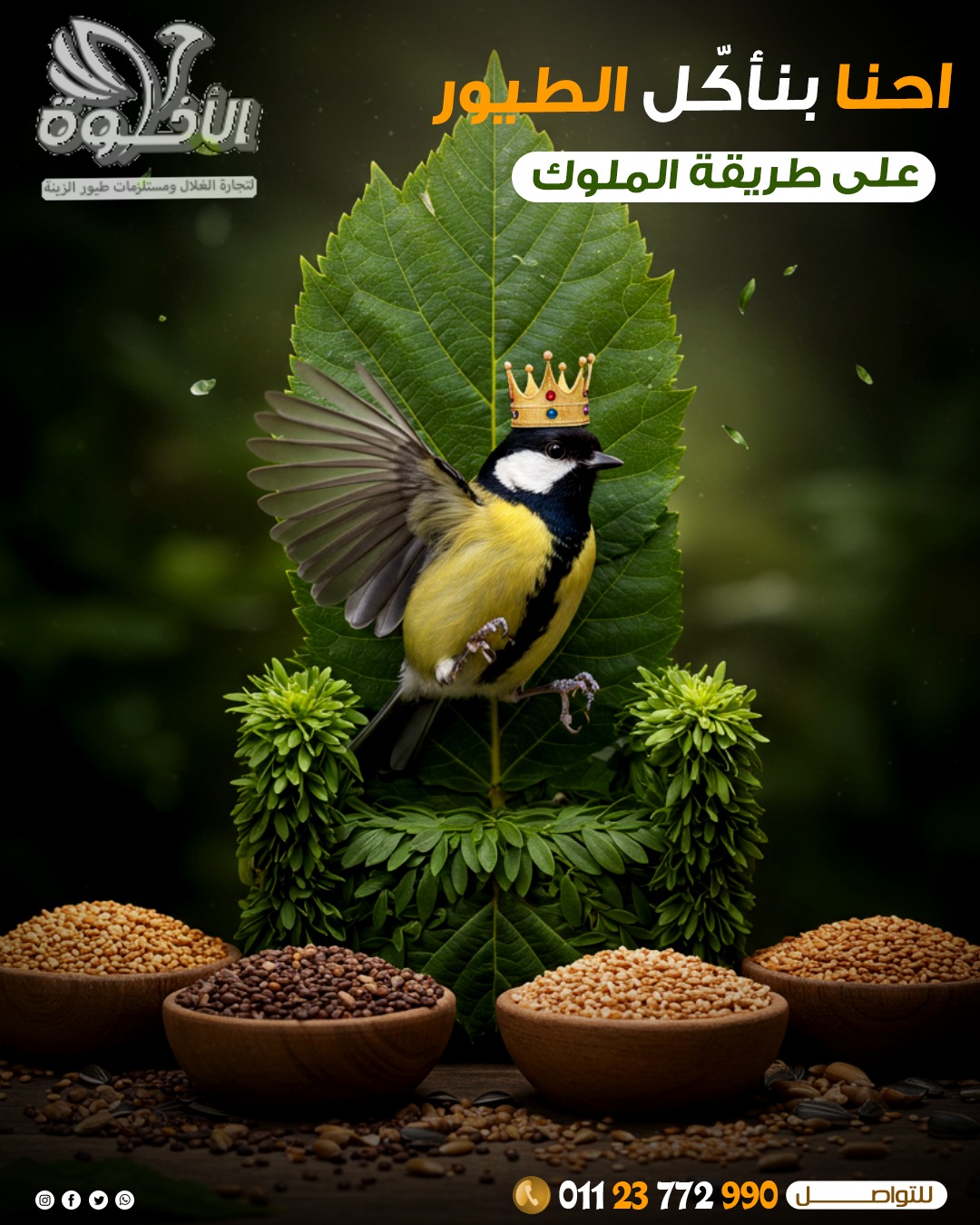 صورة المشروع
